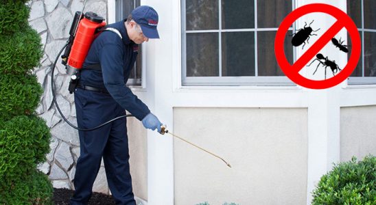Akçadağ Kene İlaçlama böcek ilaçlama ve haşere kontrolü — ilaclama-tr.com